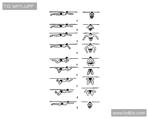 蛙泳动作分解与技巧指导详解从入门到精通的全面步骤解析 蛙泳动作分解与技巧指导详解从入门到精通的全面步骤解析