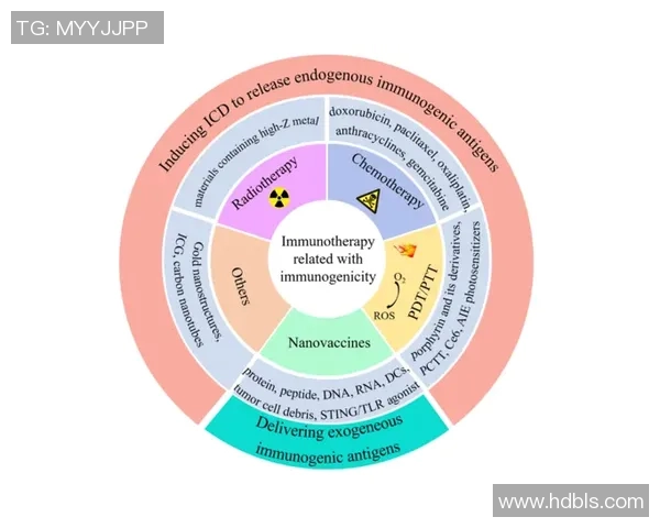 上海排球队的力量变革引发热议新策略与团队协作的深度分析