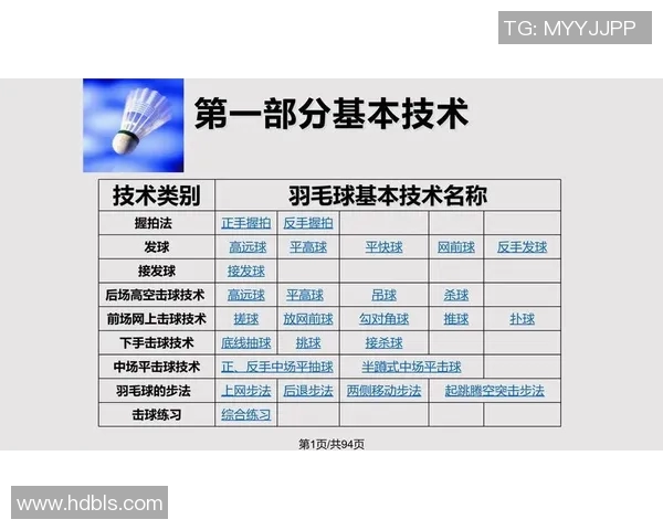 成都羽毛球队总决赛战术分析与表现评估之深度解读