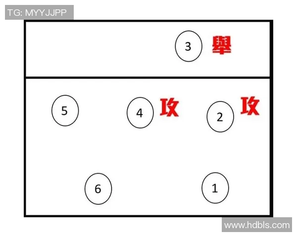 上海排球队的整体压制分析与战术解读探讨 上海排球队的整体压制分析与战术解读探讨